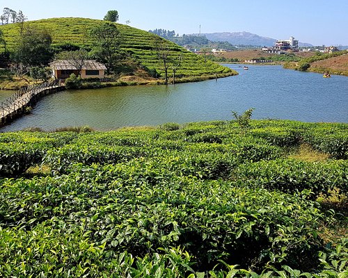 Top 5 best places in Munnar